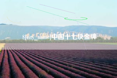 安徽中国十七块金牌