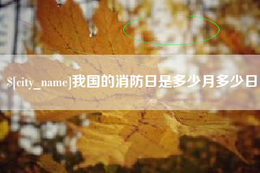 安徽我国的消防日是多少月多少日