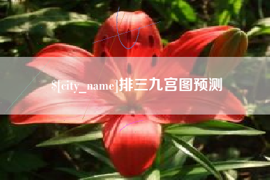 安徽排三九宫图预测