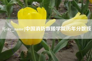 安徽中国消防救援学院历年分数线