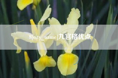安徽九宫格优点