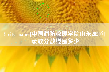 安徽中国消防救援学院山东2020年录取分数线是多少