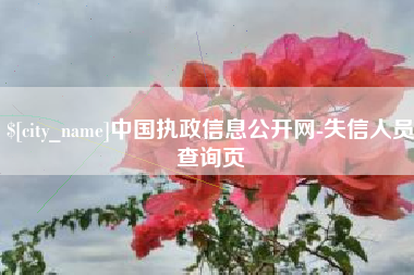 安徽中国执政信息公开网-失信人员查询页