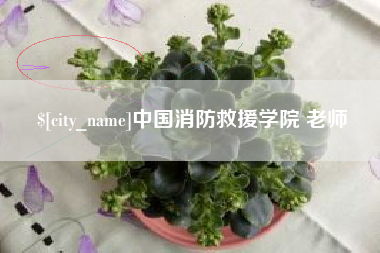 安徽中国消防救援学院 老师