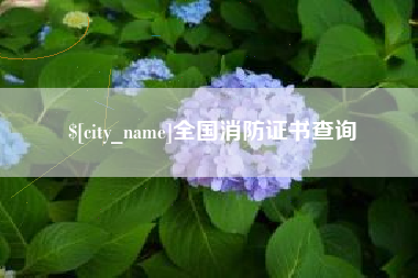 安徽全国消防证书查询