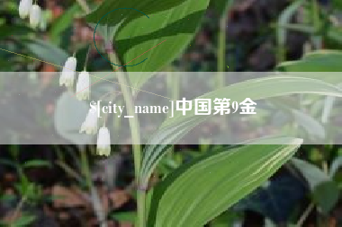 安徽中国第9金