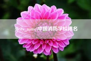 安徽中国消防学校排名