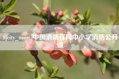 安徽中国消防官网中小学消防公开课