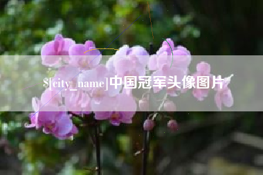 安徽中国冠军头像图片