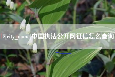 安徽中国执法公开网征信怎么查询