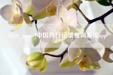 安徽中国执行记录查询系统app