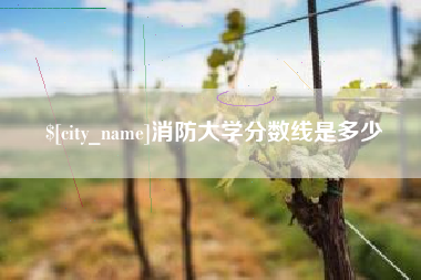 安徽消防大学分数线是多少