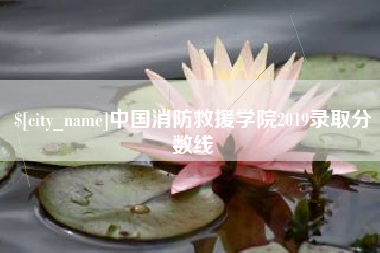 安徽中国消防救援学院2019录取分数线