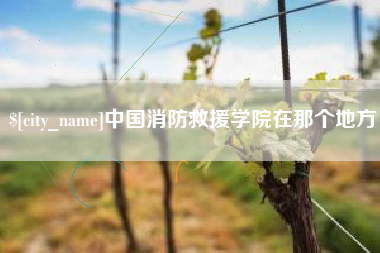 安徽中国消防救援学院在那个地方