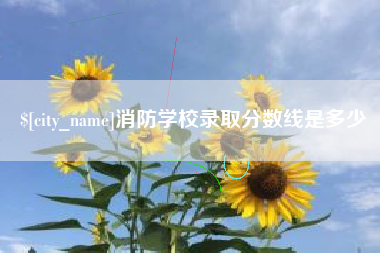 安徽消防学校录取分数线是多少