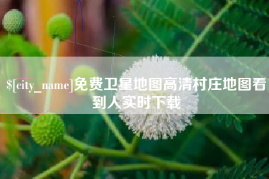 安徽免费卫星地图高清村庄地图看到人实时下载