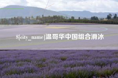 安徽温哥华中国组合滑冰