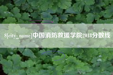 安徽中国消防救援学院2018分数线