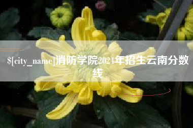 安徽消防学院2024年招生云南分数线