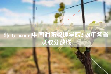 安徽中国消防救援学院2020年各省录取分数线