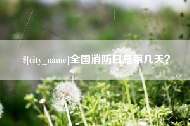 安徽全国消防日是第几天？