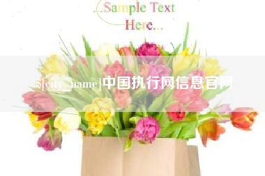 安徽中国执行网信息官网