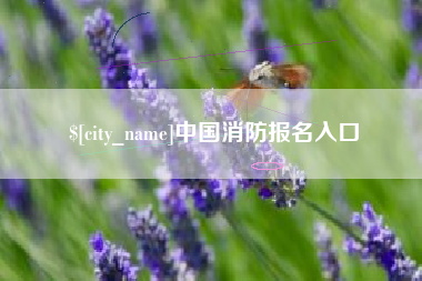 安徽中国消防报名入口