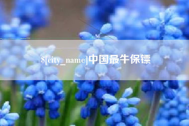 安徽中国最牛保镖