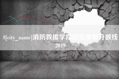 安徽消防救援学院招生录取分数线2019