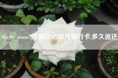 安徽诈骗冻结对方银行卡,多久返还