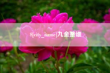 安徽九金是谁