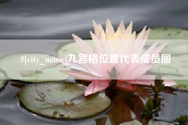 安徽九宫格位置代表成员图