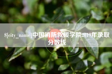 安徽中国消防救援学院2019年录取分数线