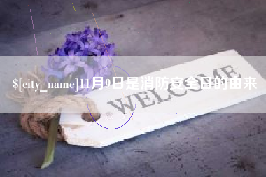 安徽11月9日是消防安全日的由来