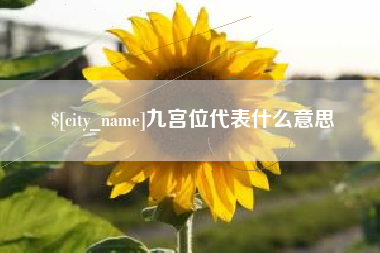 安徽九宫位代表什么意思