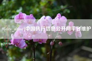 安徽中国执行信息公开网平台维护
