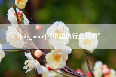 安徽“中国执行公开网”