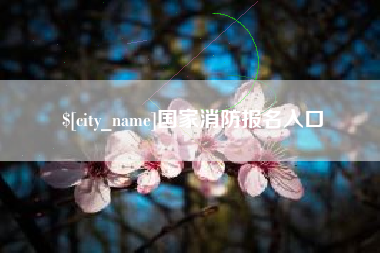 安徽国家消防报名入口