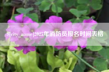 安徽2025年消防员报名时间表格