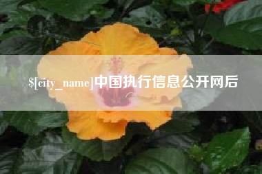 安徽中国执行信息公开网后