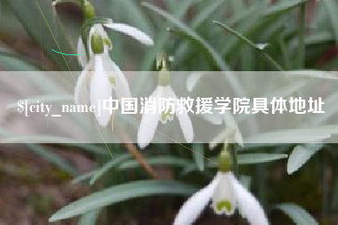 安徽中国消防救援学院具体地址