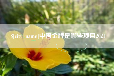 安徽中国金牌是哪些项目2021
