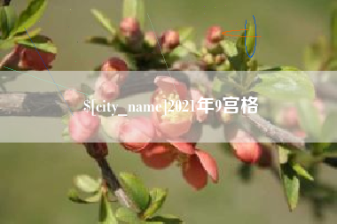 安徽2021年9宫格