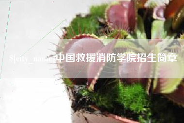 安徽中国救援消防学院招生简章