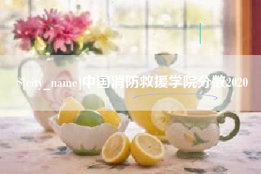 安徽中国消防救援学院分数2020