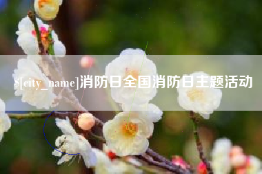安徽消防日全国消防日主题活动