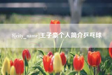 安徽王子豪个人简介乒乓球