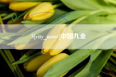 安徽中国九金