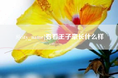 安徽看看王子豪长什么样
