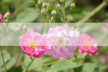 安徽第九金是